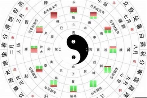 生辰八字算|生辰八字算命、五行喜用神查询（免费测算）